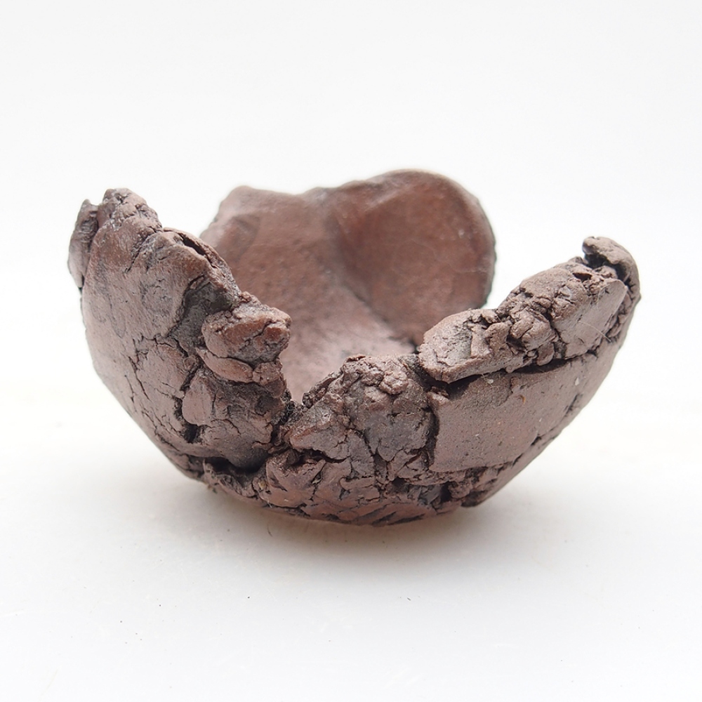 Kerámia kagyló 6 x 6 x 4 cm , színe barna