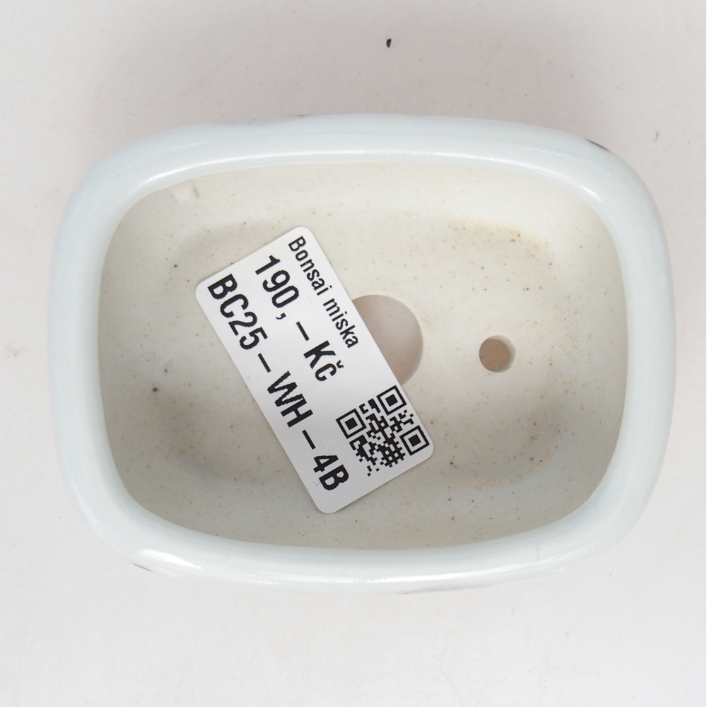 Mini bonsai tál 8 x 6 x 3 cm, fehér