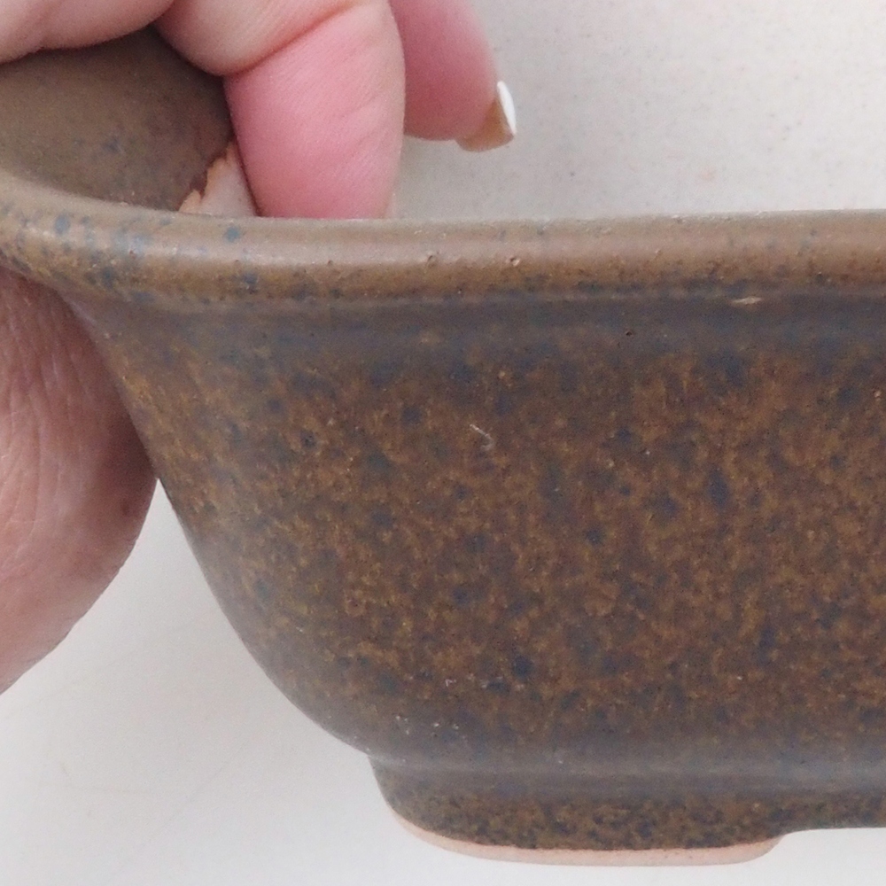 Bonsai tál H38 - 12 x 10 x 5,5 cm. - barna