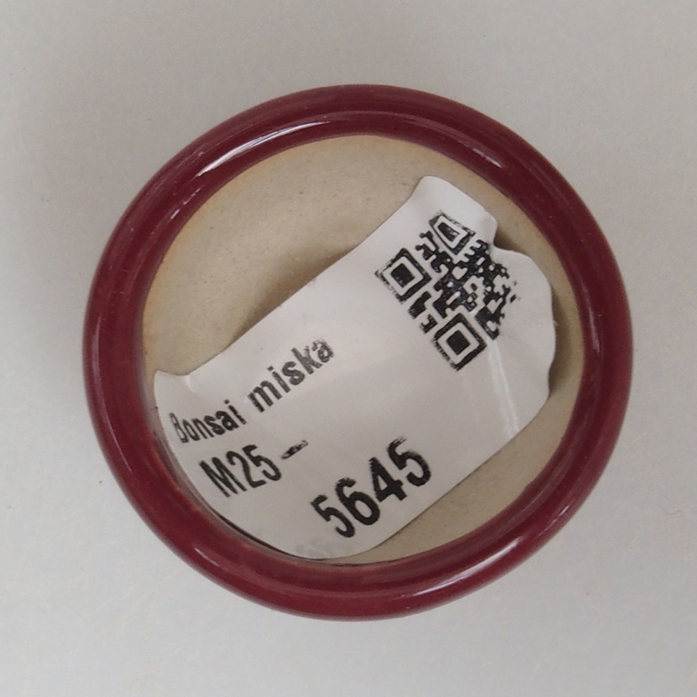 Mini bonsai tál 3,5 x 3,5 x 2 cm, bordó színben