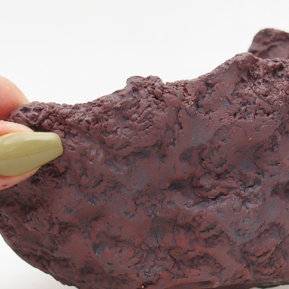 Kerámia kagyló 14 x 13 x 11,5 cm , színe barna