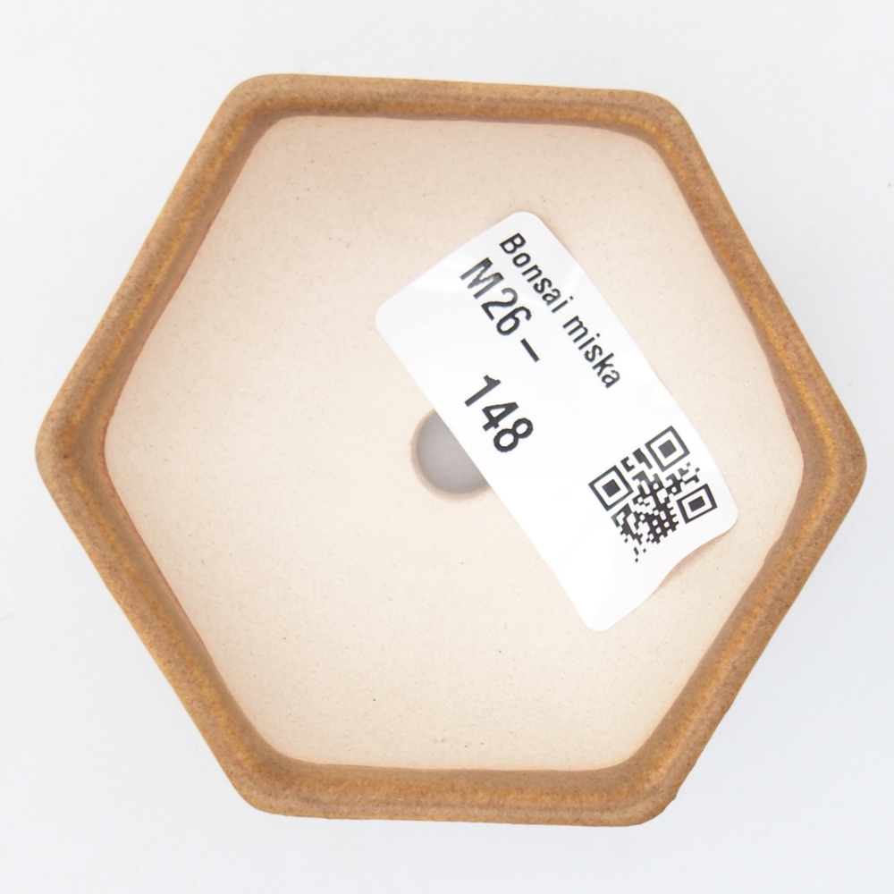 Mini bonsai tál 7 x 6 x 3 cm, barna