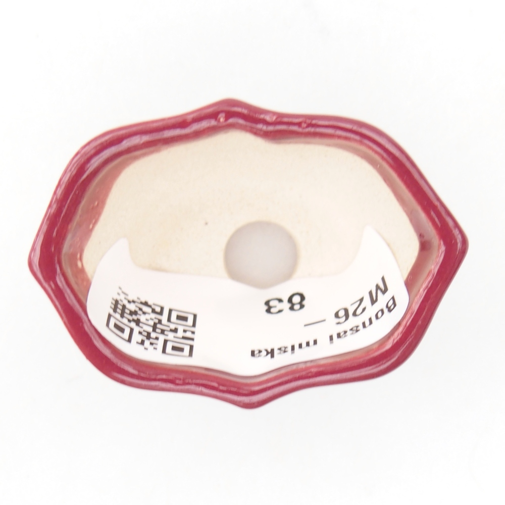 Mini bonsai tál 4,5 x 3 x 2,5 cm, bordó színben