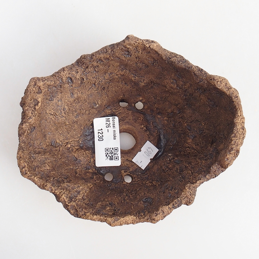 Kerámia kagyló 13,5 x 12 x 11,5 cm , színe barna