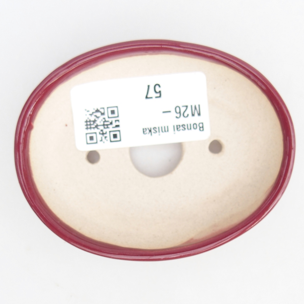 Mini bonsai tál 8 x 6 x 2 cm, bordó színű