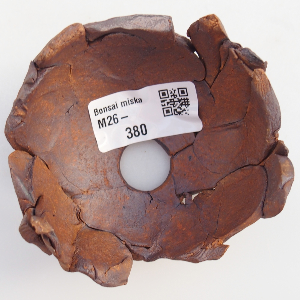 Kerámia kagyló 8,5 x 8,5 x 5,5 cm , színe barna