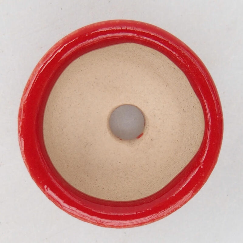 Mini bonsai tál 2,5 x 2,5 x 1,5 cm, piros színben