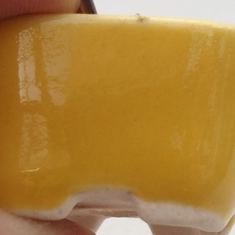 Mini bonsai tál 2,5 x 2,5 x 1,5 cm, sárga