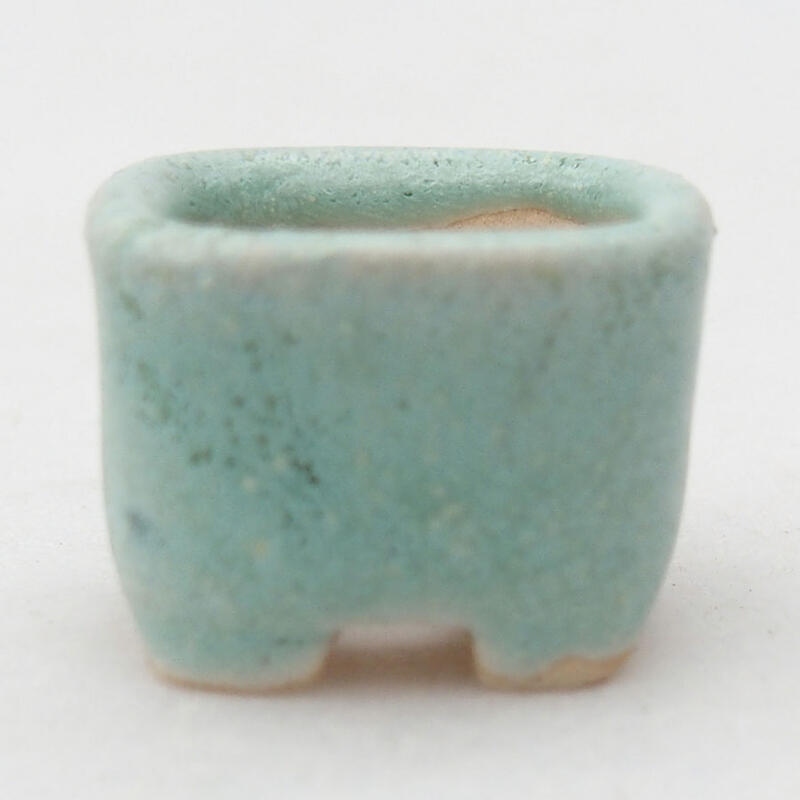 Mini bonsai tál 2 x 2 x 1,5 cm, zöld