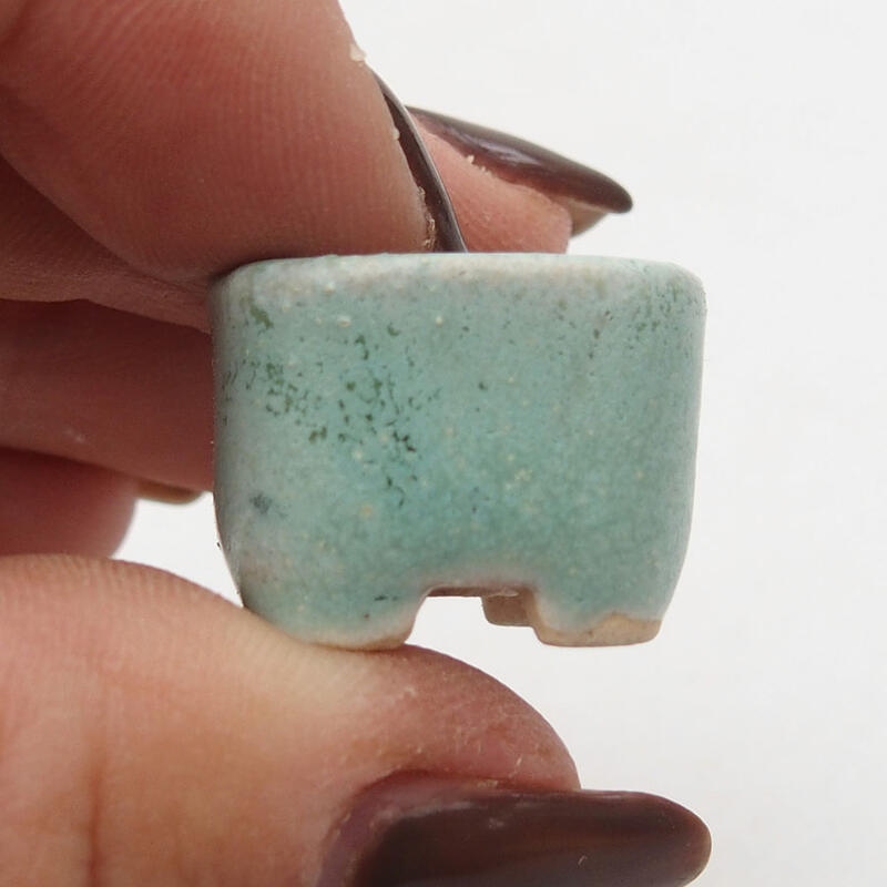 Mini bonsai tál 2 x 2 x 1,5 cm, zöld