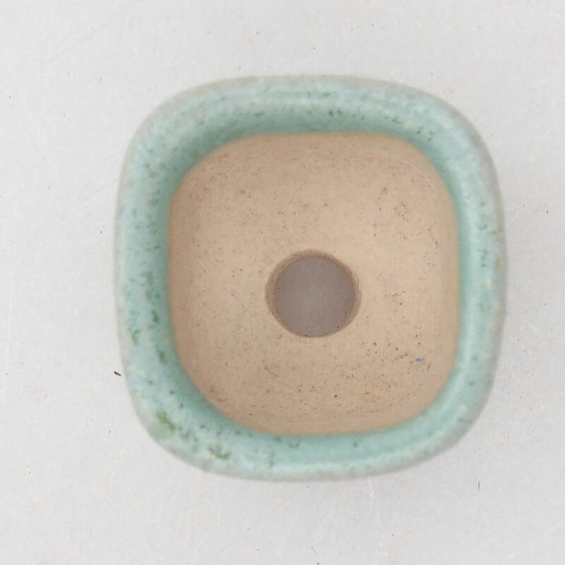 Mini bonsai tál 2 x 2 x 1,5 cm, zöld