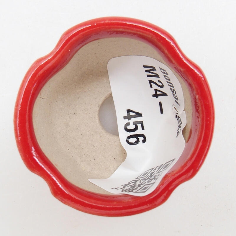 Mini bonsai tál 3,5 x 3,5 x 2,5 cm, piros színben