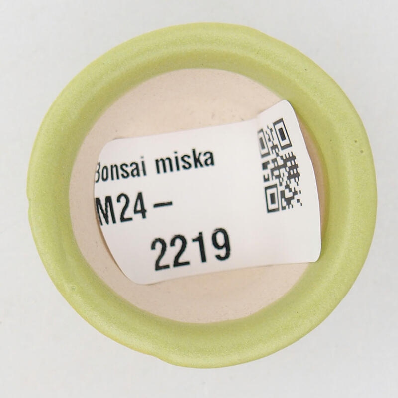 Mini bonsai tálka 3,5 x 3,5 x 2 cm, zöld