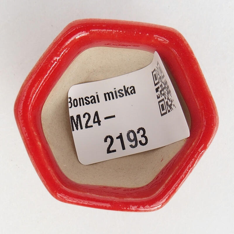 Mini bonsai tál 3,5 x 3,5 x 3 cm, piros színben