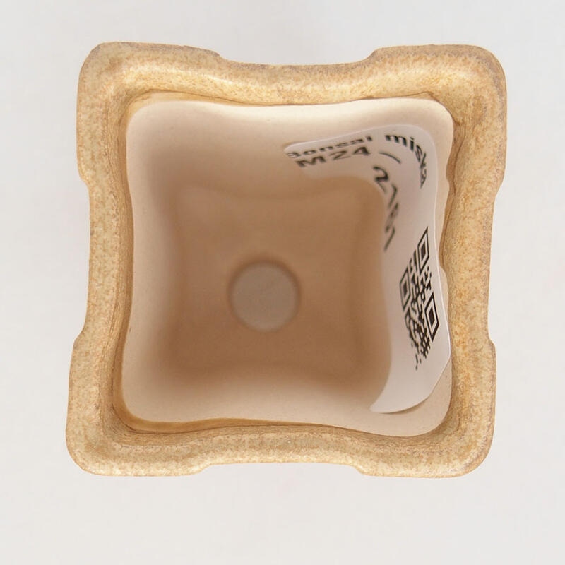 Mini bonsai tál 3,5 x 3,5 x 6 cm, barna