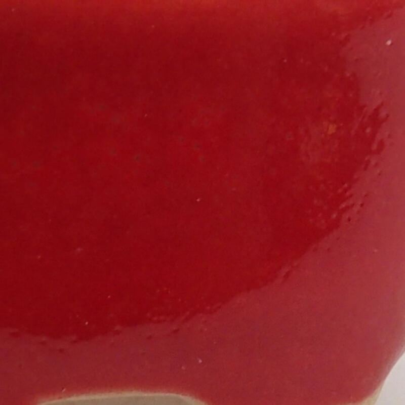 Mini bonsai tál 3 x 2,5 x 1,5 cm, piros színben