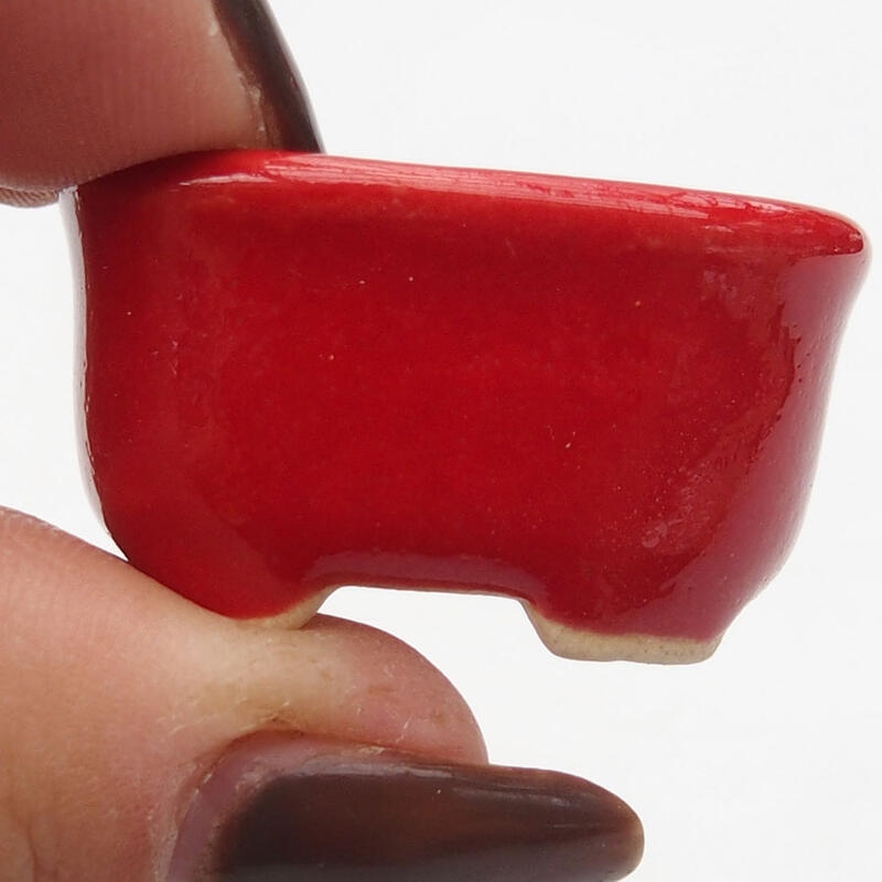 Mini bonsai tál 3 x 2,5 x 1,5 cm, piros színben