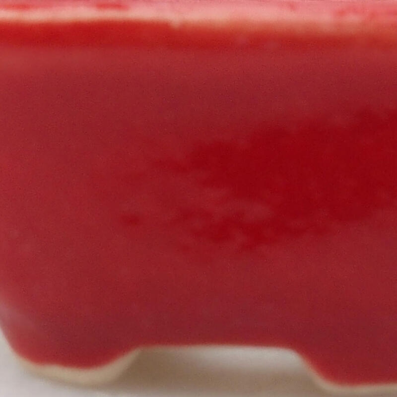 Mini bonsai tál 3 x 3 x 1,5 cm, piros színben