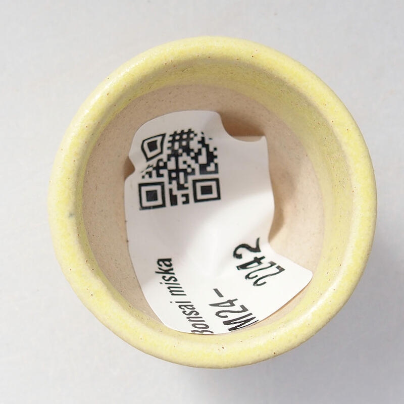 Mini bonsai tál 3 x 3 x 2,5 cm, sárga