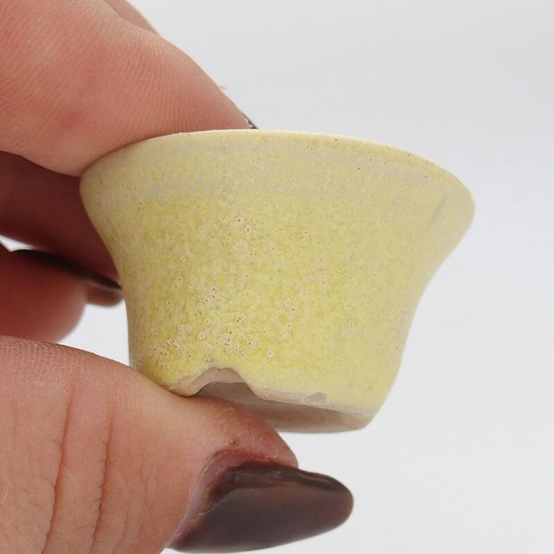 Mini bonsai tál 3 x 3 x 2 cm, sárga