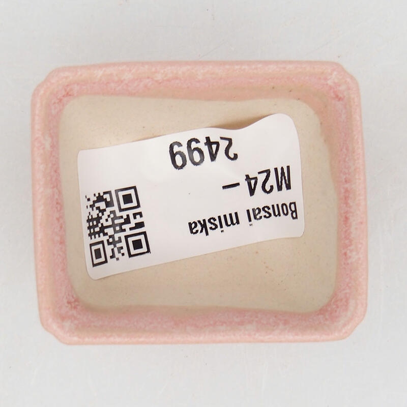 Mini bonsai tál 4,5 x 3,5 x 2,5 cm, rózsaszínű