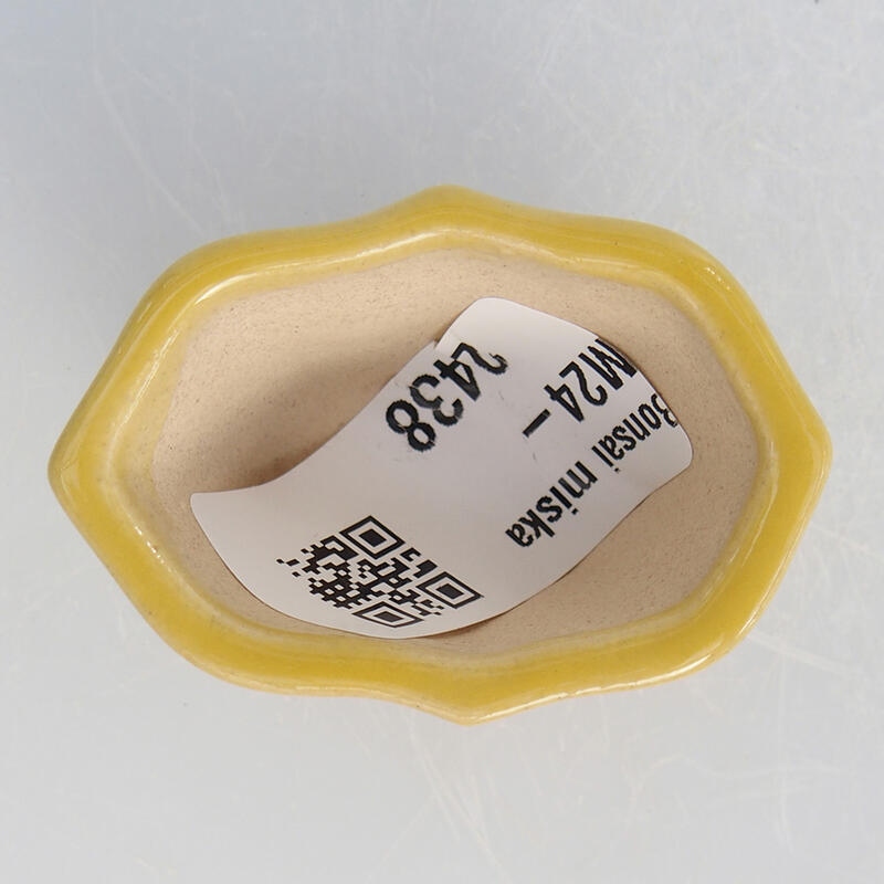 Mini bonsai tál 4,5 x 3,5 x 2,5 cm, sárga