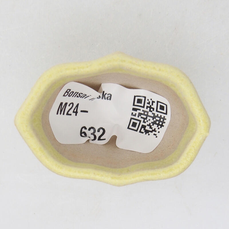 Mini bonsai tál 4,5 x 3 x 2,5 cm, zöld