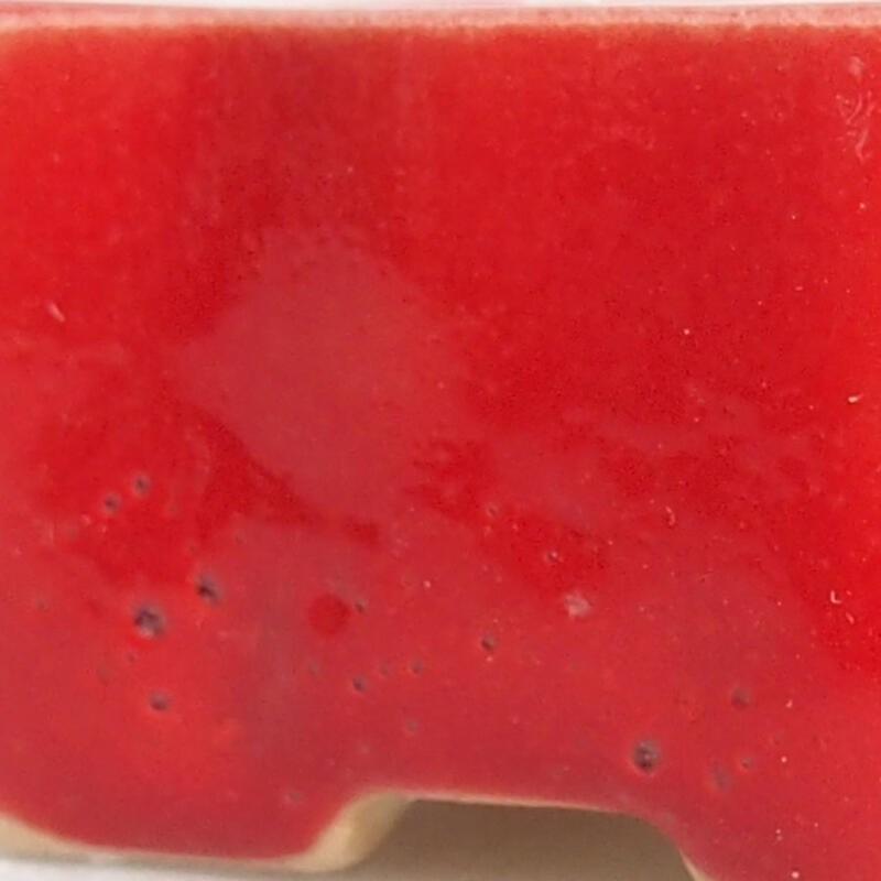 Mini bonsai tál 4,5 x 3 x 2 cm, piros színben