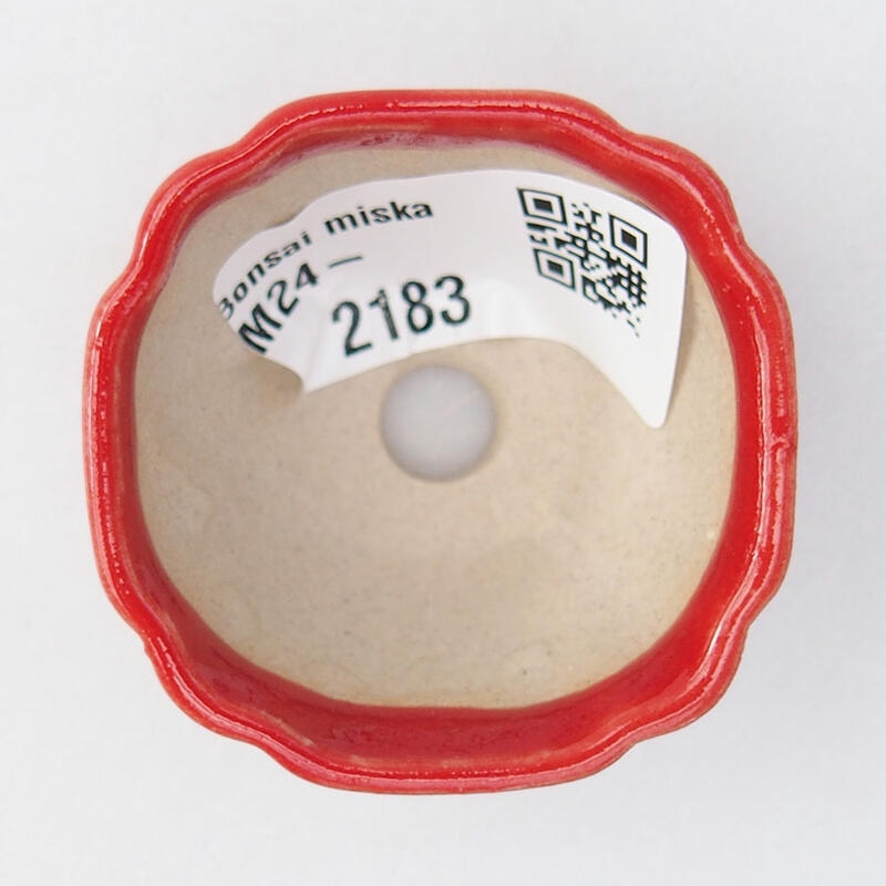 Mini bonsai tál 4,5 x 4,5 x 2,5 cm, piros színben