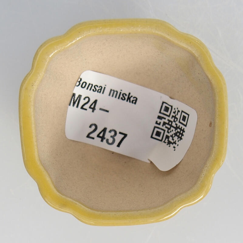 Mini bonsai tál 4,5 x 4,5 x 2,5 cm, sárga