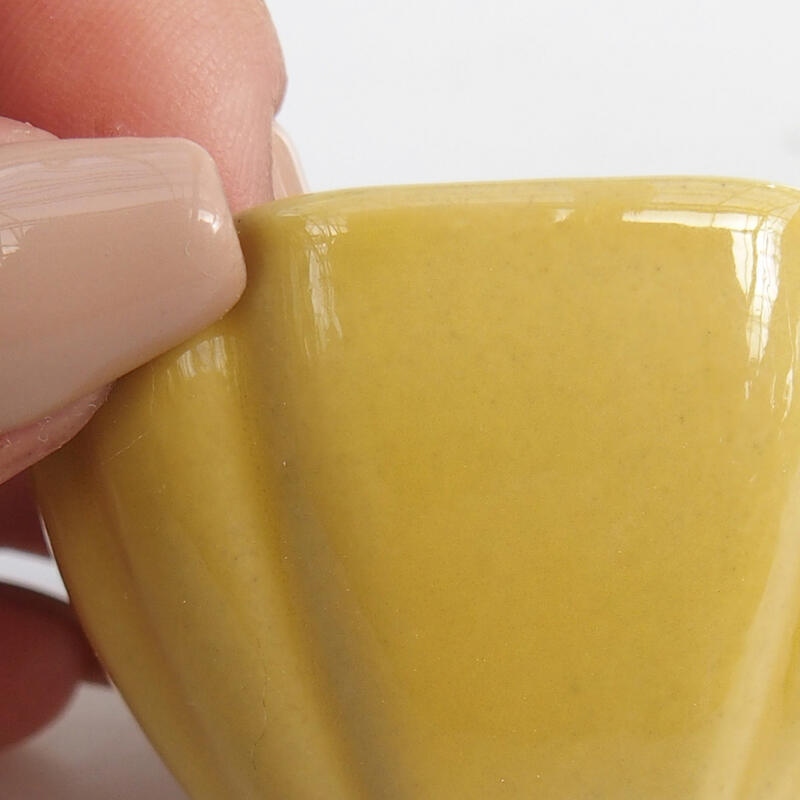 Mini bonsai tál 4,5 x 4,5 x 2,5 cm, sárga