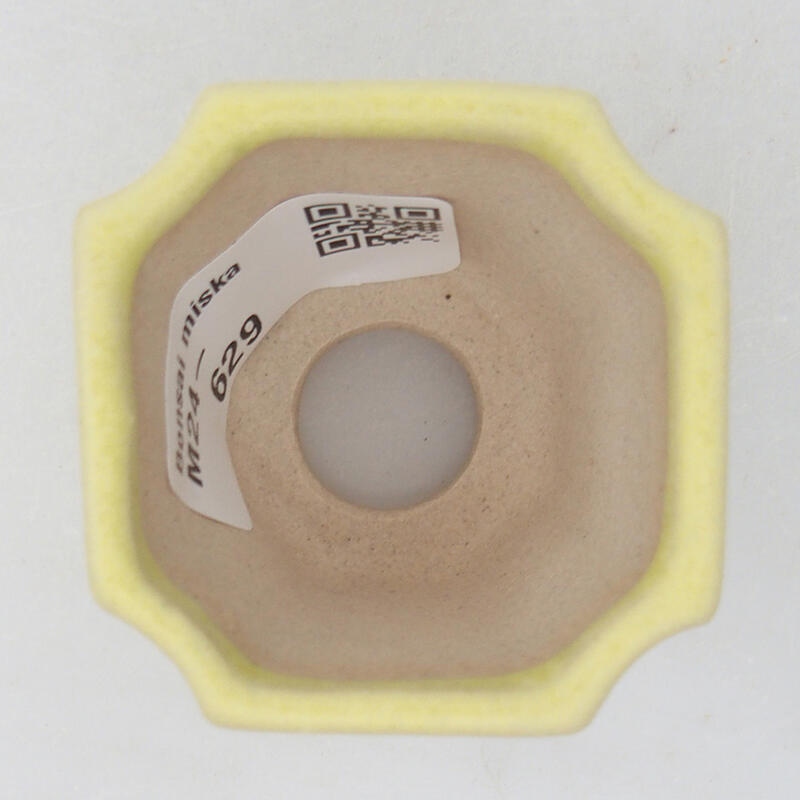 Mini bonsai tál 4,5 x 4,5 x 4 cm, zöld