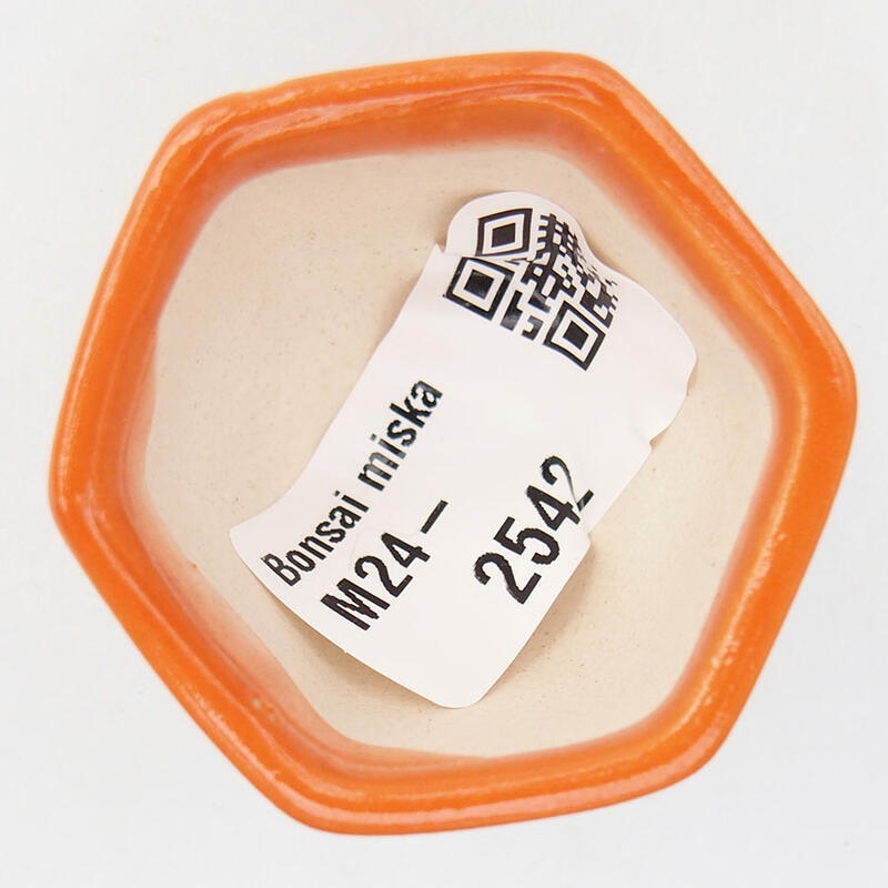 Mini bonsai tál 4,5 x 4 x 3 cm, narancssárga