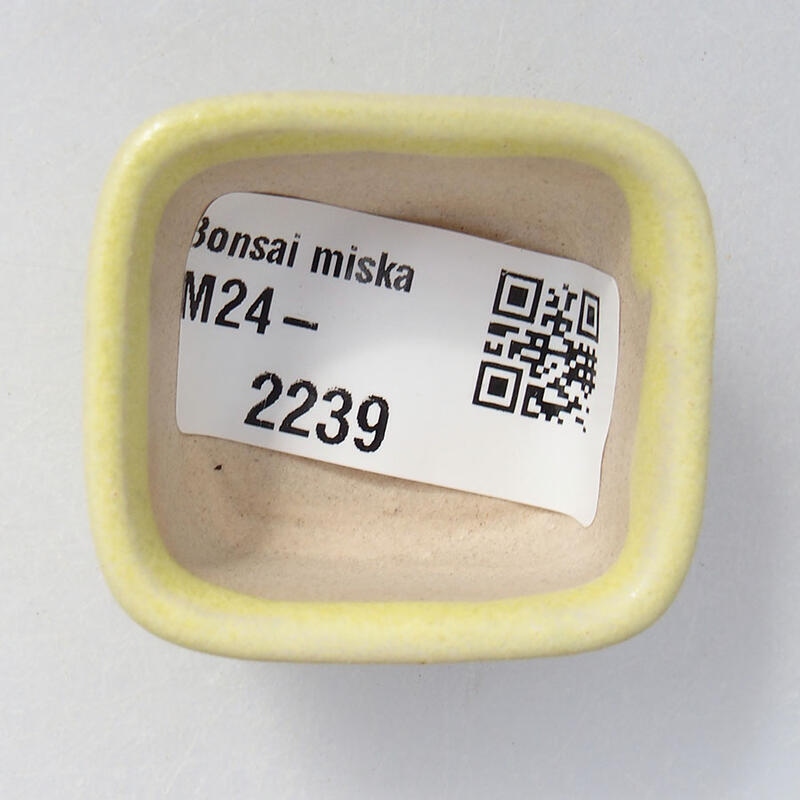 Mini bonsai tál 4 x 3,5 x 2 cm, sárga