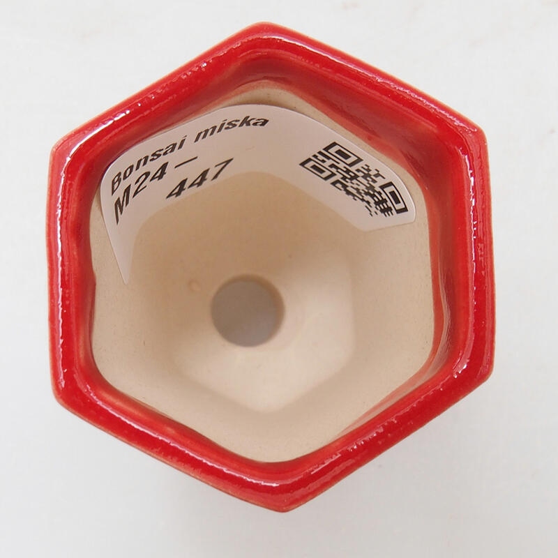 Mini bonsai tál 4 x 3,5 x 6 cm, piros színben