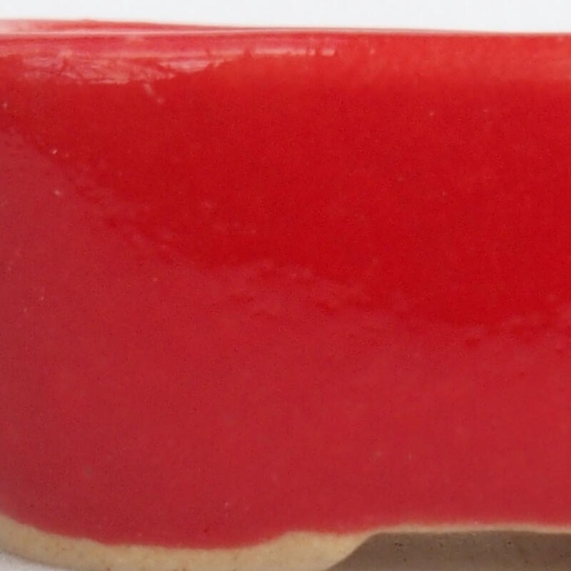 Mini bonsai tál 4 x 3 x 1,5 cm, piros színben