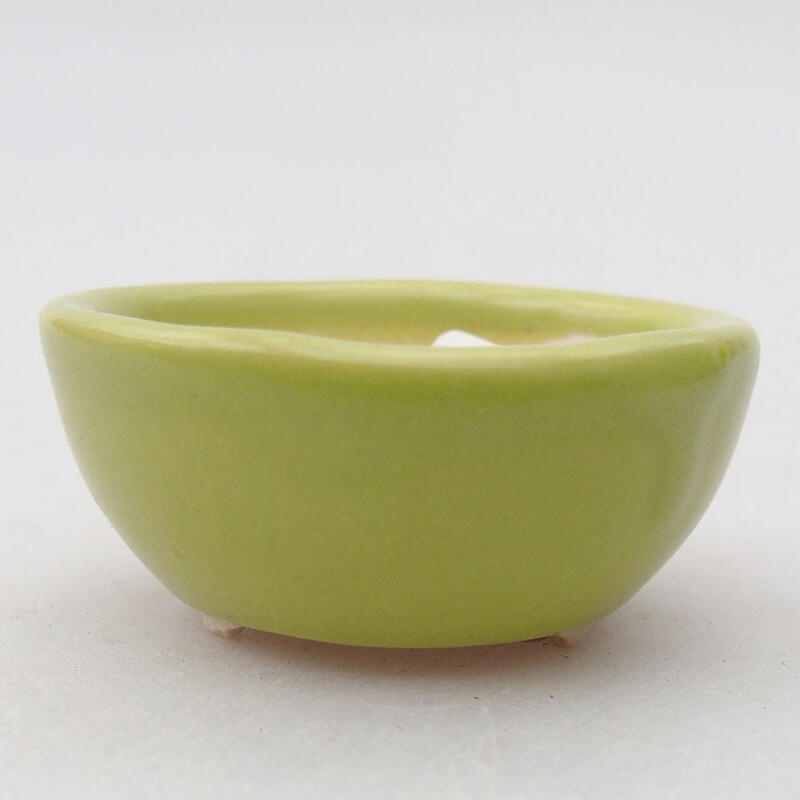 Mini bonsai tál 4 x 4 x 1,5 cm, zöld