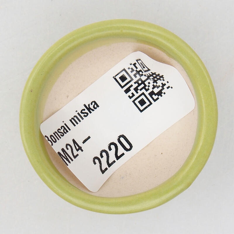 Mini bonsai tál 4 x 4 x 1,5 cm, zöld