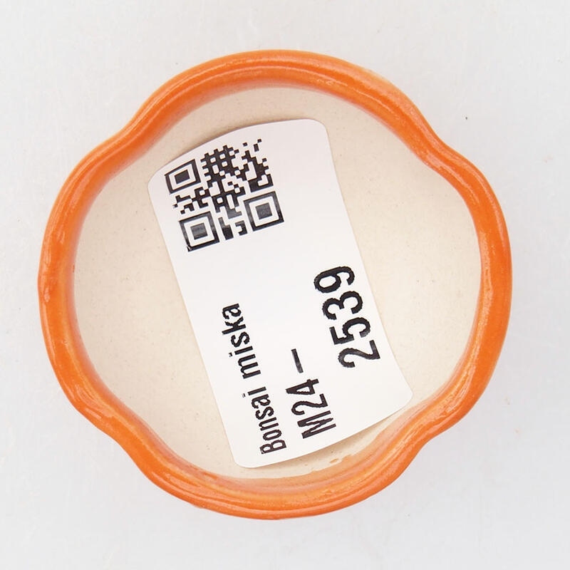 Mini bonsai tál 4 x 4 x 2,5 cm, narancssárga