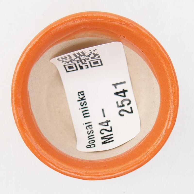 Mini bonsai tál 4 x 4 x 2,5 cm, narancssárga