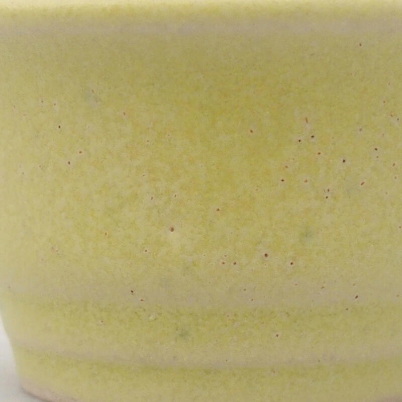 Mini bonsai tál 4 x 4 x 2,5 cm, zöld