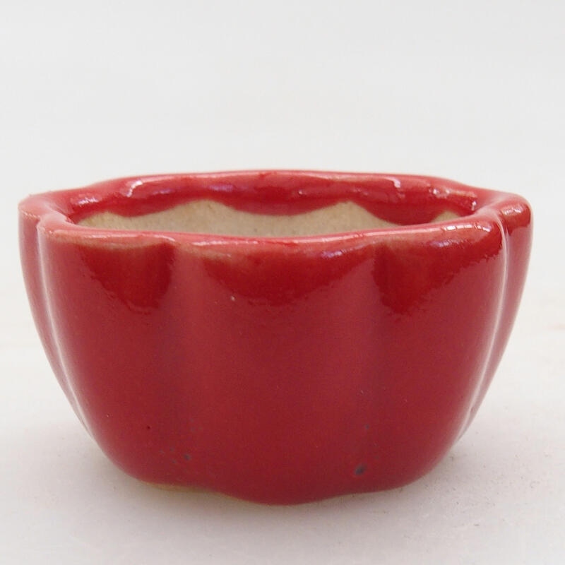 Mini bonsai tál 4 x 4 x 2 cm, piros színben