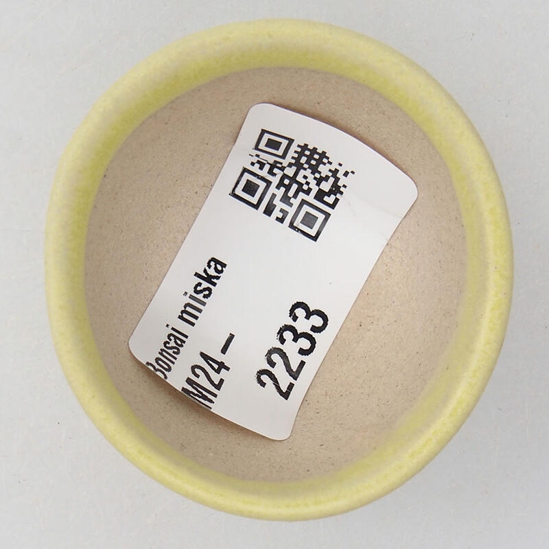 Mini bonsai tál 4 x 4 x 2 cm, sárga