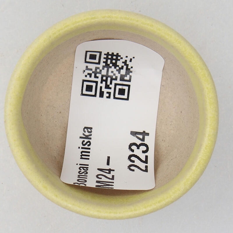 Mini bonsai tál 4 x 4 x 2 cm, sárga