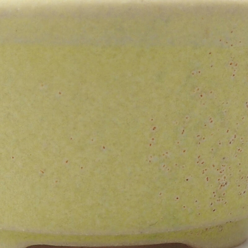 Mini bonsai tál 4 x 4 x 2 cm, sárga