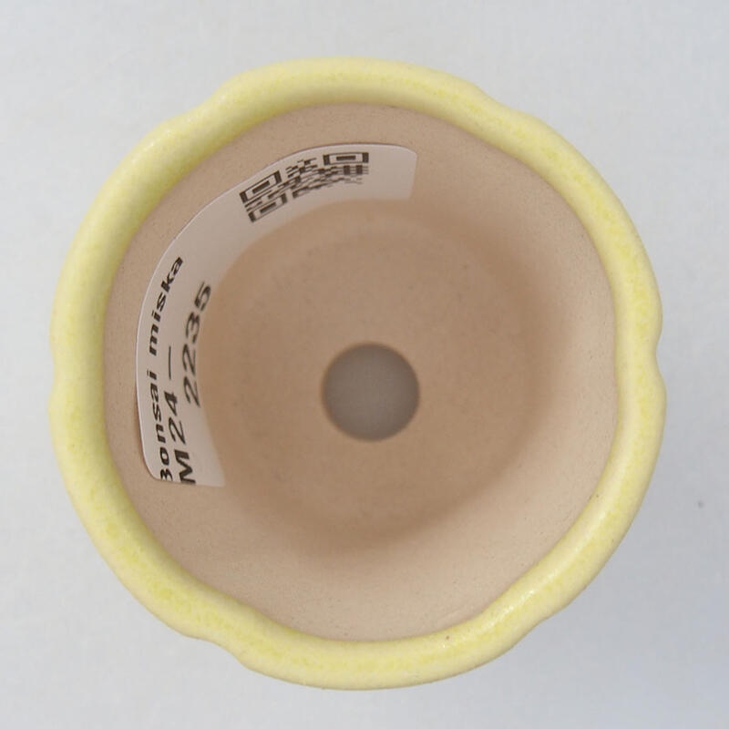 Mini bonsai tál 4 x 4 x 4 cm, sárga