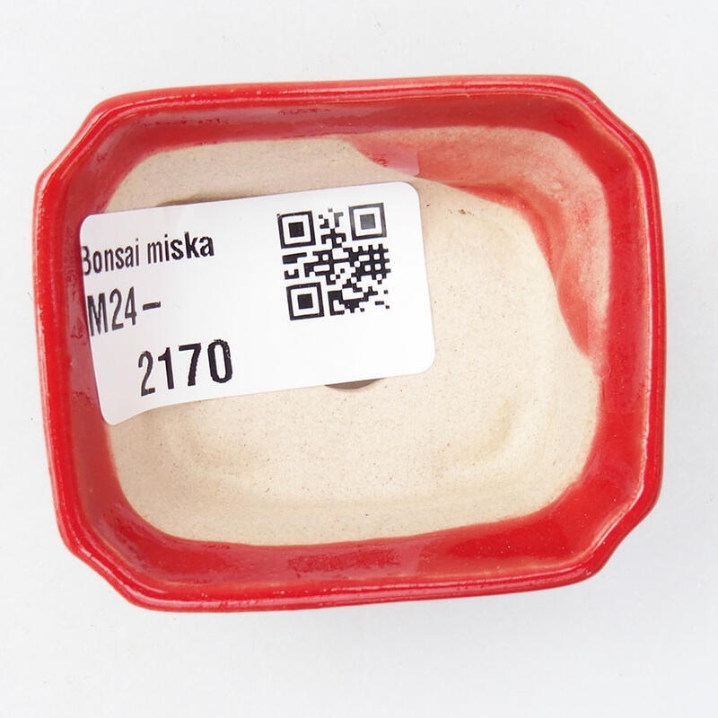 Mini bonsai tál 5,5 x 4,5 x 2 cm, piros színben