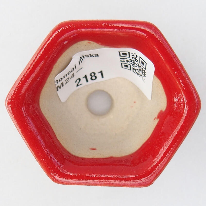 Mini bonsai tál 5,5 x 4,5 x 3 cm, piros színben