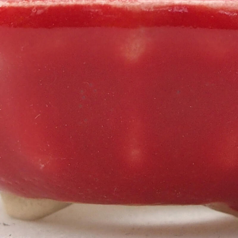 Mini bonsai tál 5,5 x 5,5 x 2 cm, piros színben