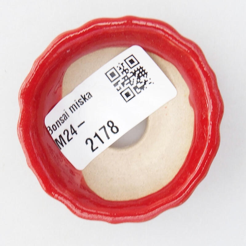 Mini bonsai tál 5,5 x 5,5 x 2 cm, piros színben